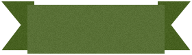 n2_banner
